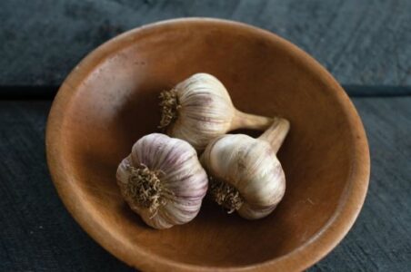 Garlic Growing Tips for Your Garden Image